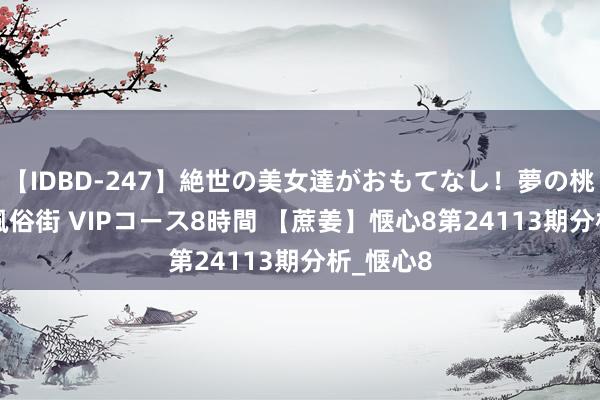 【IDBD-247】絶世の美女達がおもてなし！夢の桃源郷 IP風俗街 VIPコース8時間 【蔗姜】惬心8第24113期分析_惬心8