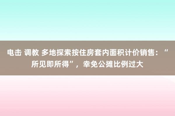 电击 调教 多地探索按住房套内面积计价销售：“所见即所得”，幸免公摊比例过大