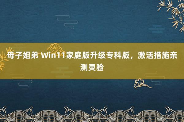 母子姐弟 Win11家庭版升级专科版，激活措施亲测灵验