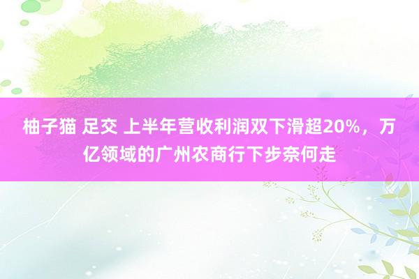 柚子猫 足交 上半年营收利润双下滑超20%，万亿领域的广州农商行下步奈何走