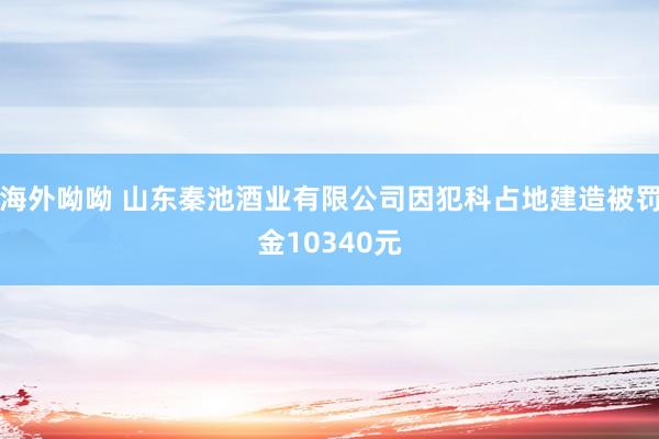 海外呦呦 山东秦池酒业有限公司因犯科占地建造被罚金10340元