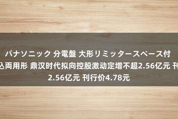 パナソニック 分電盤 大形リミッタースペース付 露出・半埋込両用形 鼎汉时代拟向控股激动定增不超2.56亿元 刊行价4.78元