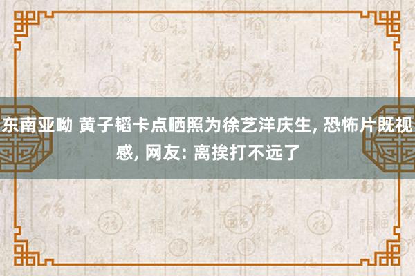 东南亚呦 黄子韬卡点晒照为徐艺洋庆生， 恐怖片既视感， 网友: 离挨打不远了