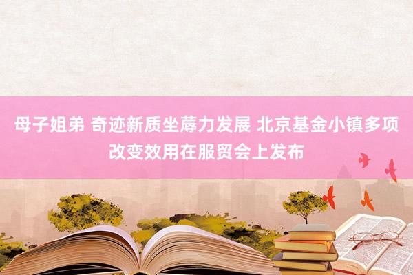 母子姐弟 奇迹新质坐蓐力发展 北京基金小镇多项改变效用在服贸会上发布