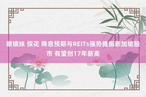 眼镜妹 探花 降息预期与REITs强势提振新加坡股市 有望创17年新高