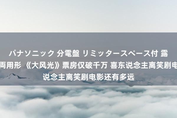 パナソニック 分電盤 リミッタースペース付 露出・半埋込両用形 《大风光》票房仅破千万 喜东说念主离笑剧电影还有多远