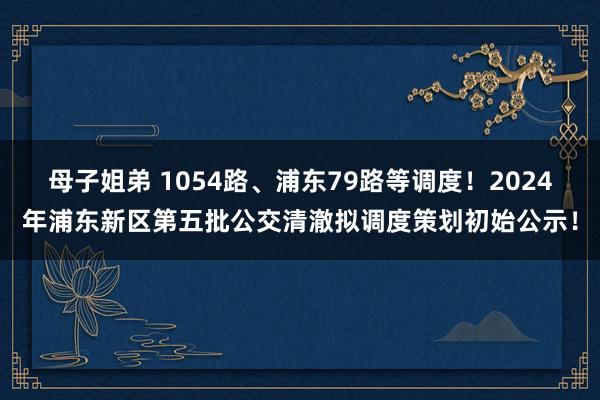 母子姐弟 1054路、浦东79路等调度！2024年浦东新区第五批公交清澈拟调度策划初始公示！