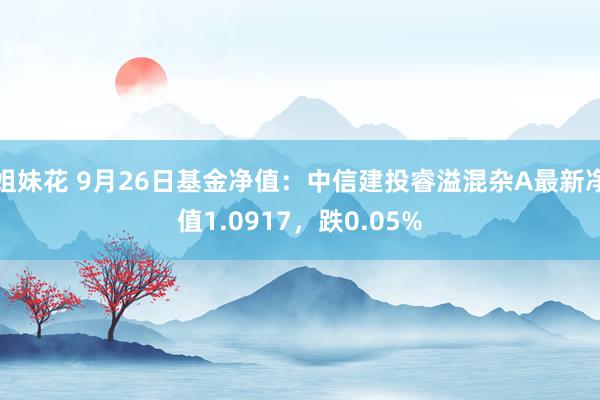 姐妹花 9月26日基金净值：中信建投睿溢混杂A最新净值1.0917，跌0.05%