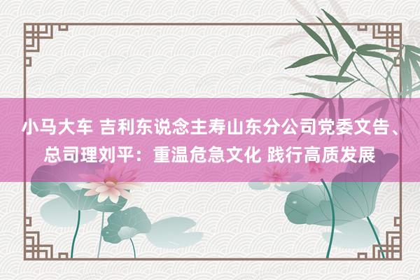 小马大车 吉利东说念主寿山东分公司党委文告、总司理刘平：重温危急文化 践行高质发展