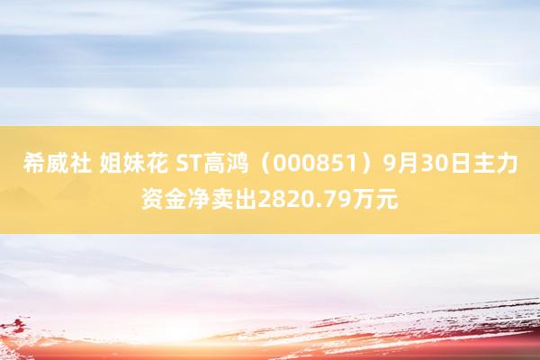 希威社 姐妹花 ST高鸿（000851）9月30日主力资金净卖出2820.79万元