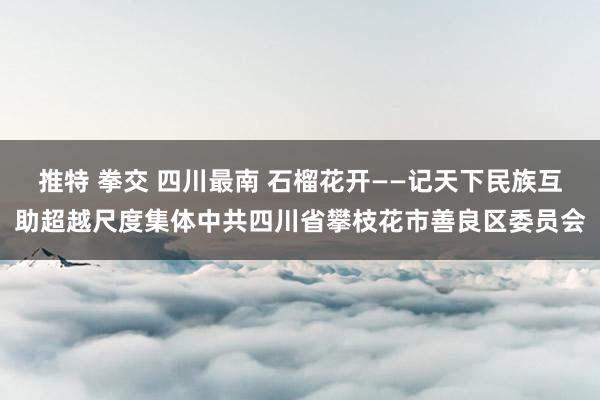 推特 拳交 四川最南 石榴花开——记天下民族互助超越尺度集体中共四川省攀枝花市善良区委员会