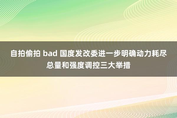 自拍偷拍 bad 国度发改委进一步明确动力耗尽总量和强度调控三大举措