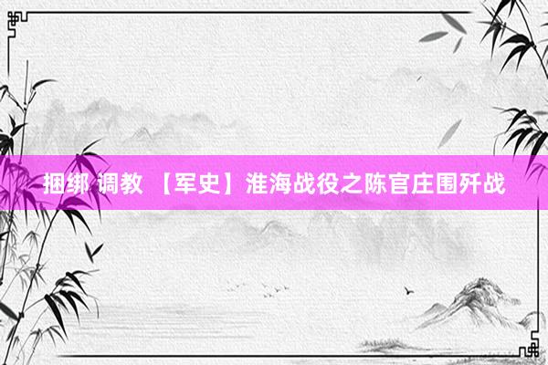 捆绑 调教 【军史】淮海战役之陈官庄围歼战