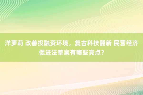 洋萝莉 改善投融资环境，复古科技翻新 民营经济促进法草案有哪些亮点？