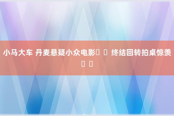 小马大车 丹麦悬疑小众电影❗️终结回转拍桌惊羡❗️