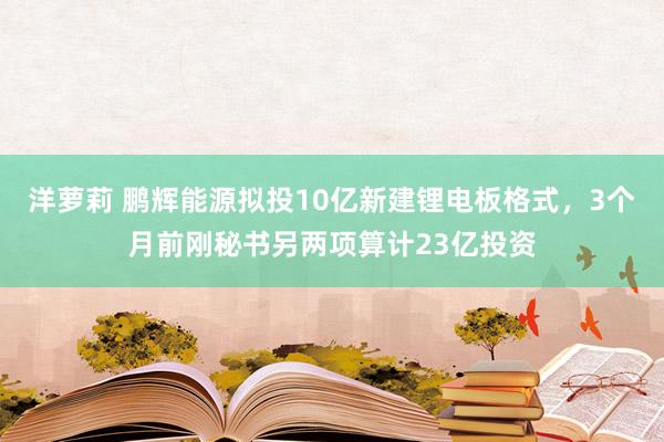 洋萝莉 鹏辉能源拟投10亿新建锂电板格式，3个月前刚秘书另两项算计23亿投资