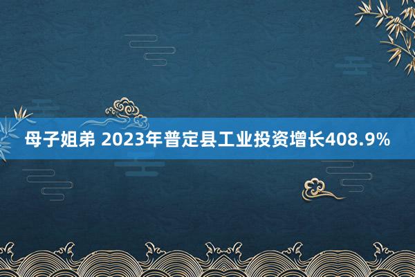 母子姐弟 2023年普定县工业投资增长408.9%