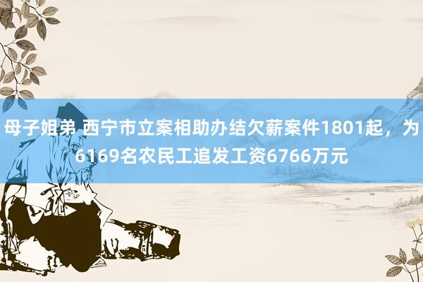 母子姐弟 西宁市立案相助办结欠薪案件1801起，为6169名农民工追发工资6766万元