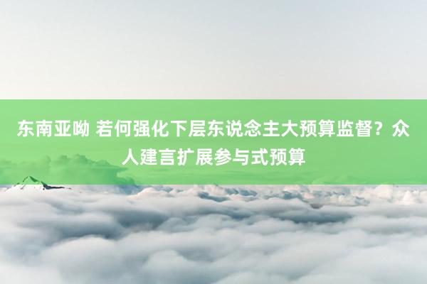 东南亚呦 若何强化下层东说念主大预算监督？众人建言扩展参与式预算