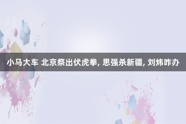 小马大车 北京祭出伏虎拳， 思强杀新疆， 刘炜咋办