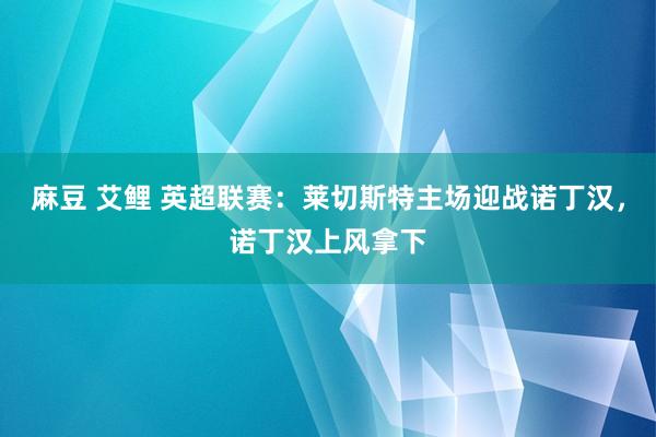 麻豆 艾鲤 英超联赛：莱切斯特主场迎战诺丁汉，诺丁汉上风拿下