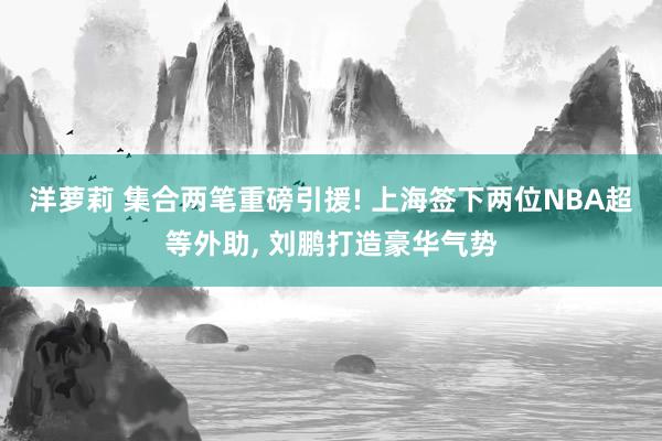 洋萝莉 集合两笔重磅引援! 上海签下两位NBA超等外助, 刘鹏打造豪华气势