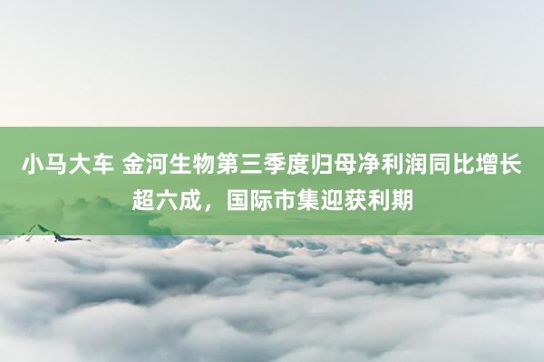 小马大车 金河生物第三季度归母净利润同比增长超六成，国际市集迎获利期