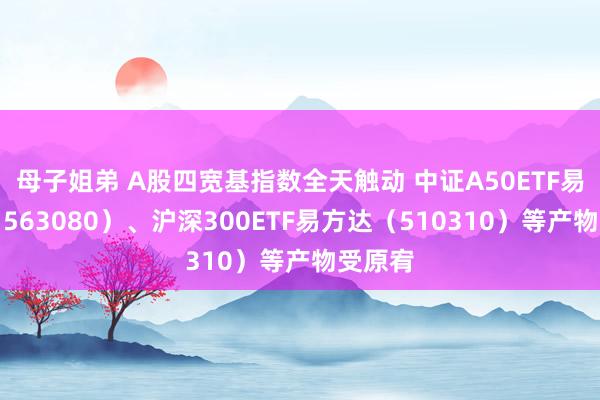 母子姐弟 A股四宽基指数全天触动 中证A50ETF易方达（563080）、沪深300ETF易方达（510310）等产物受原宥