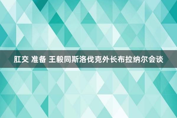 肛交 准备 王毅同斯洛伐克外长布拉纳尔会谈