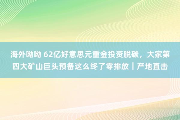 海外呦呦 62亿好意思元重金投资脱碳，大家第四大矿山巨头预备这么终了零排放｜产地直击