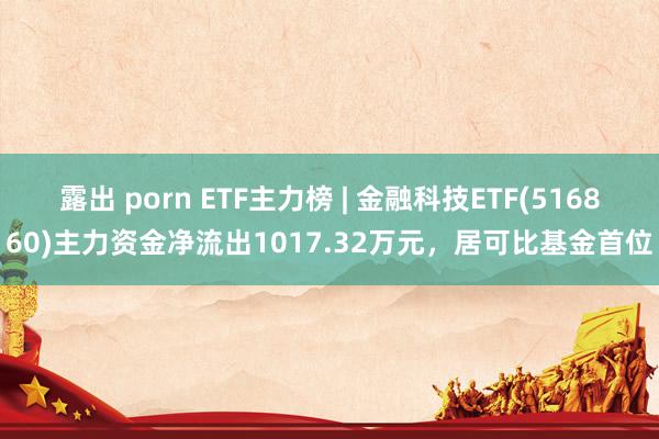 露出 porn ETF主力榜 | 金融科技ETF(516860)主力资金净流出1017.32万元，居可比基金首位