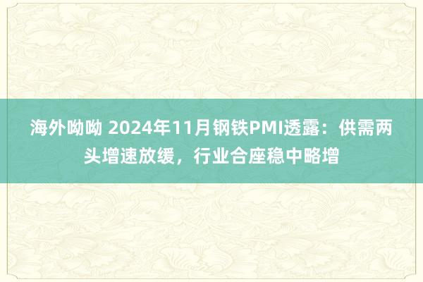 海外呦呦 2024年11月钢铁PMI透露：供需两头增速放缓，行业合座稳中略增