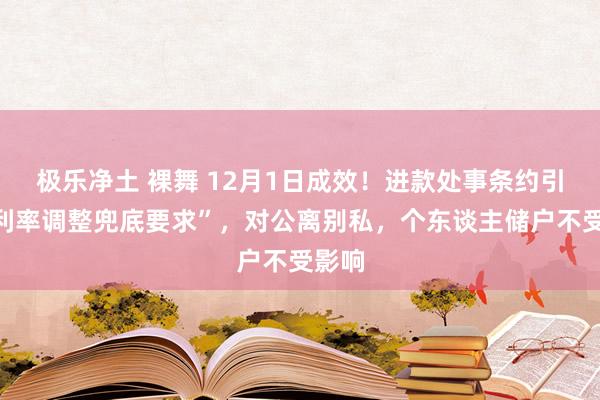 极乐净土 裸舞 12月1日成效！进款处事条约引入“利率调整兜底要求”，对公离别私，个东谈主储户不受影响