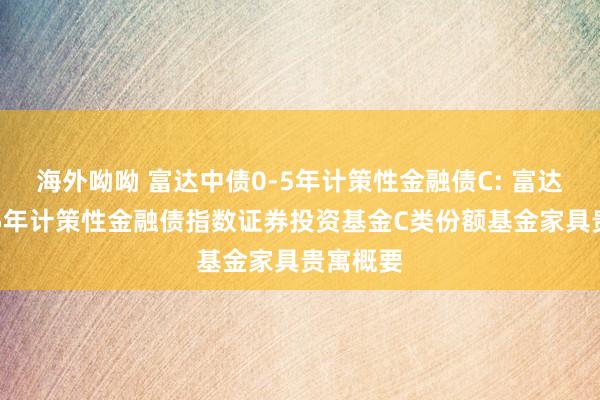 海外呦呦 富达中债0-5年计策性金融债C: 富达中债0-5年计策性金融债指数证券投资基金C类份额基金家具贵寓概要