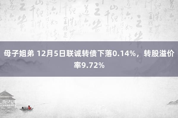 母子姐弟 12月5日联诚转债下落0.14%，转股溢价率9.72%