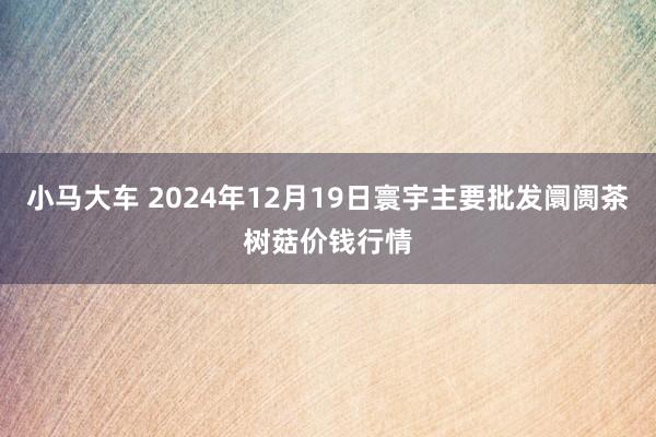 小马大车 2024年12月19日寰宇主要批发阛阓茶树菇价钱行情