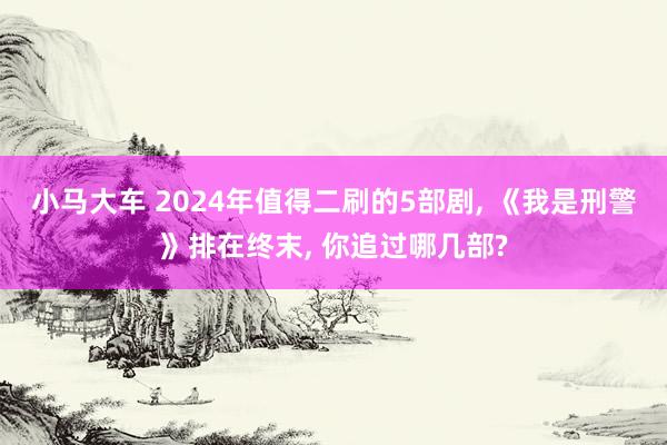 小马大车 2024年值得二刷的5部剧， 《我是刑警》排在终末， 你追过哪几部?