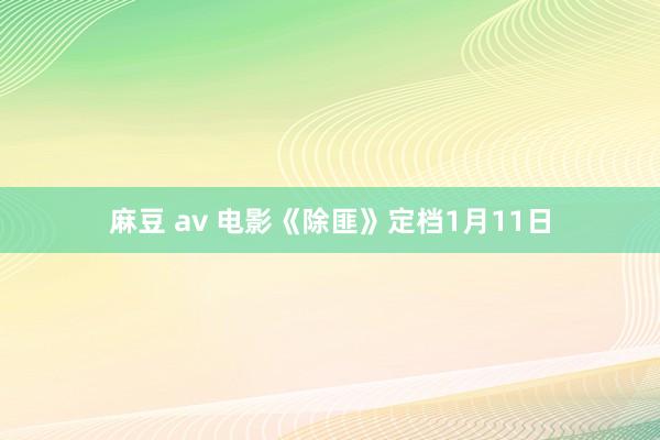 麻豆 av 电影《除匪》定档1月11日