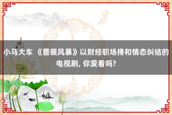 小马大车 《蔷薇风暴》以财经职场搀和情态纠结的电视剧， 你爱看吗?