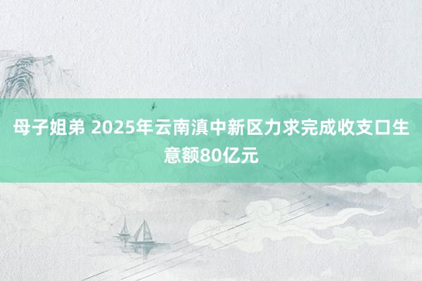 母子姐弟 2025年云南滇中新区力求完成收支口生意额80亿元