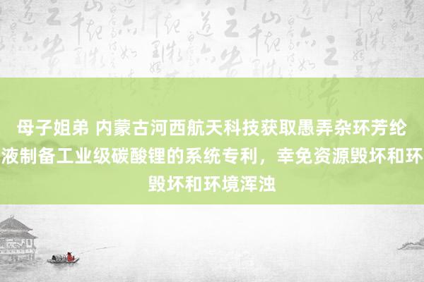 母子姐弟 内蒙古河西航天科技获取愚弄杂环芳纶坐褥废液制备工业级碳酸锂的系统专利，幸免资源毁坏和环境浑浊