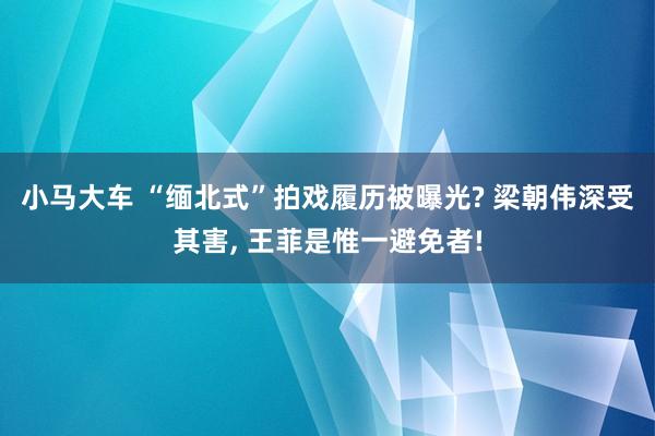 小马大车 “缅北式”拍戏履历被曝光? 梁朝伟深受其害， 王菲是惟一避免者!