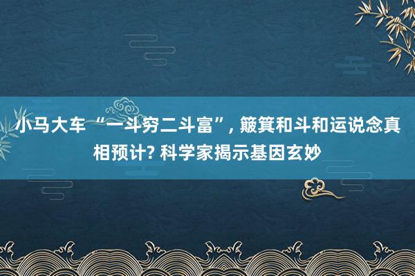 小马大车 “一斗穷二斗富”， 簸箕和斗和运说念真相预计? 科学家揭示基因玄妙